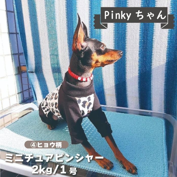 犬服 VERY Web限定プリントカバーオール 春夏 秋冬 小型犬 胴長 おしゃれ 安い 可愛い お揃い ペットウェア ペット服 ロンパース つなぎ｜very-pet｜09