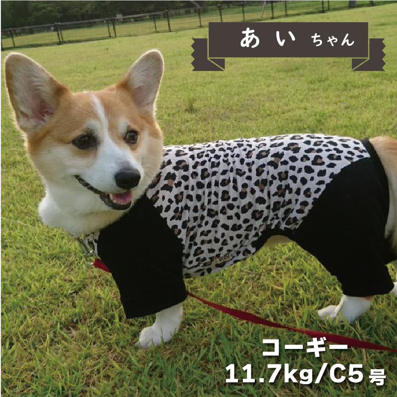 229 ハートやパズルの・コーギー犬 アイロンプリントシート 229 ハートやパズルの・コーギー犬 アイロンプリントシート