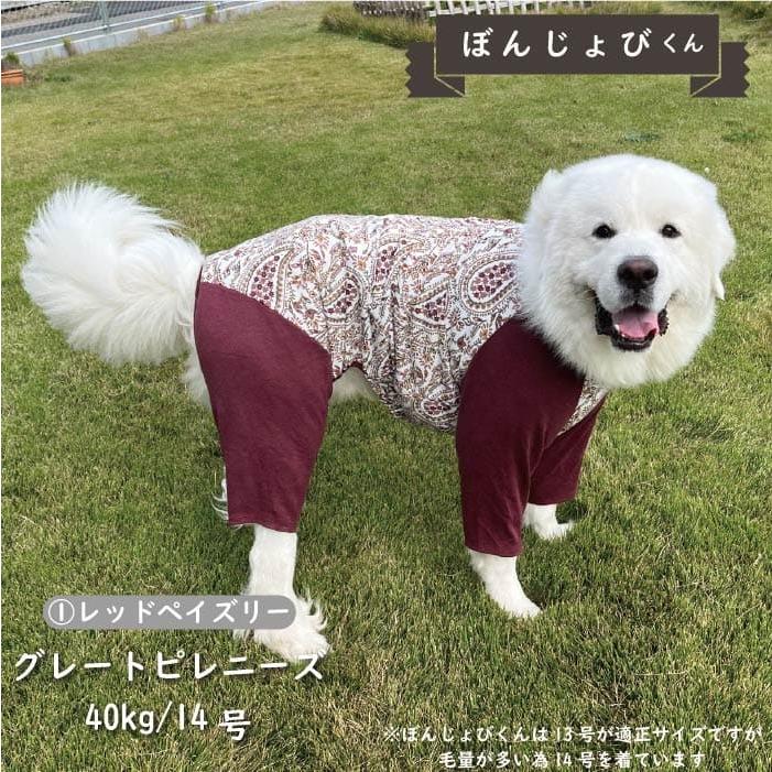 犬 服 犬服 Web限定ペイズリープリントカバーオール 冬 秋 秋冬 冬服 超大型犬 ブランド おしゃれ 安い 可愛い お揃い ペットウェア ペット服｜very-pet｜04