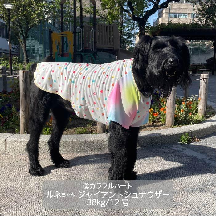VERY 犬服 大型犬 Web限定ハートプリントTシャツ 夏 春 春夏 春夏秋冬