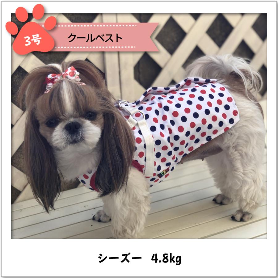 ラッピング無料 30 Offセール 犬 服 Very 小型犬 クールベスト 夏 ひんやり 保冷剤付き 暑さ対策 熱中症対策 在庫限り Aynaelda Com