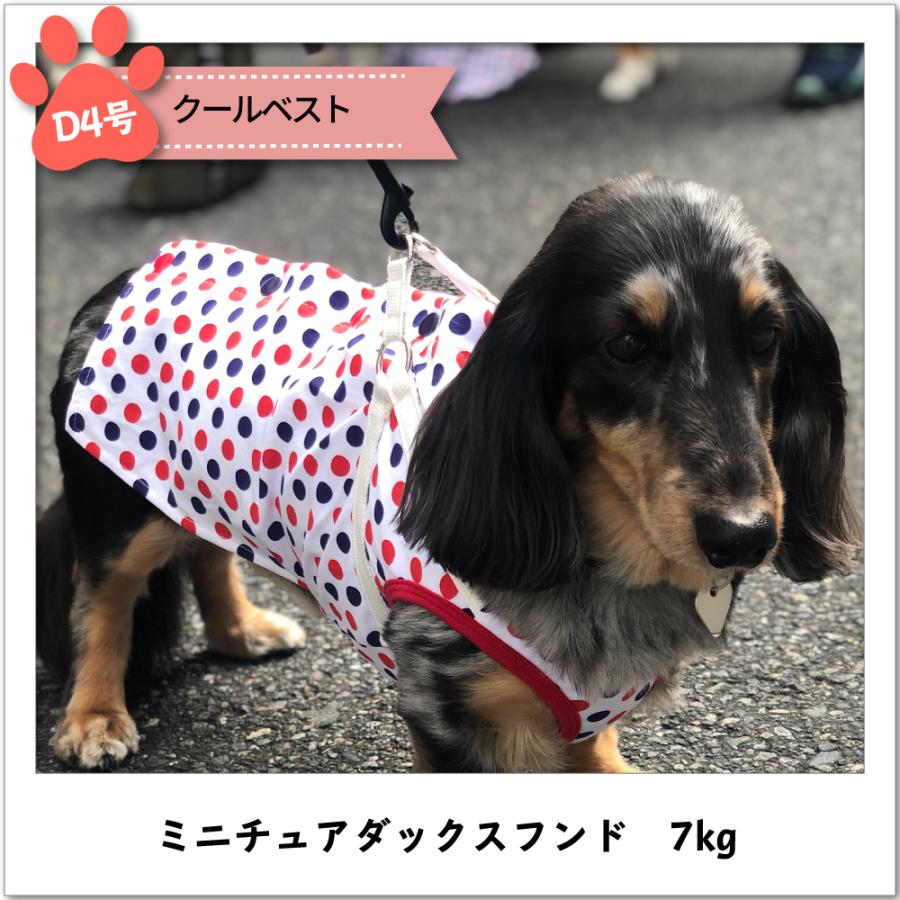 30%OFFセール】犬 服 VERY 小型犬 クールベスト 夏 ひんやり 保冷剤付き 暑さ対策 熱中症対策 在庫限り :210801:VERY-PET ヤフーショップ - 通販 - Yahoo!ショッピング 30%OFFセール】犬 服 VERY 小型犬 クールベスト 夏 ひんやり 保冷剤付き 暑さ対策 熱中症対策 在庫限り :210801:VERY-PET ヤフーショップ - 通販 - Yahoo!ショッピング