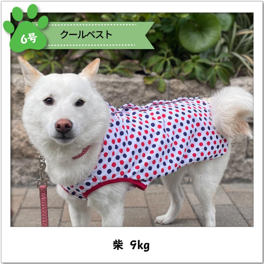 犬 服 中型犬 クールベスト Very 夏 ひんやり 犬 クール 服 保冷剤付き 暑さ対策 熱中症対策 Very Pet ヤフーショップ 通販 Yahoo ショッピング