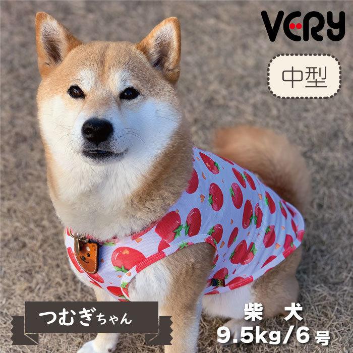 楽天 犬 服 Very Coolタンクトップ 中型犬 22春夏 Whitesforracialequity Org