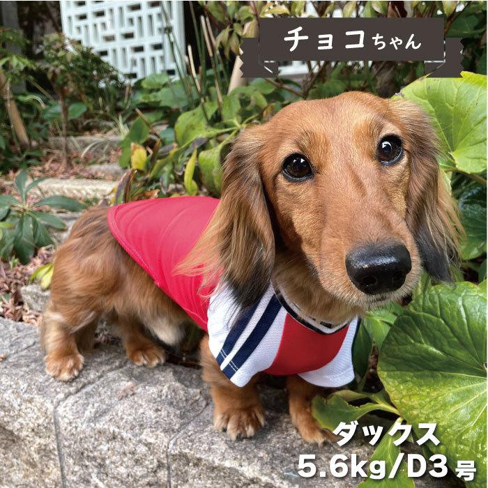 犬 服 VERY COOLジャージ風Tシャツ 小型犬 2022春夏 :220501a:VERY-PET ヤフーショップ - 通販 -  Yahoo!ショッピング