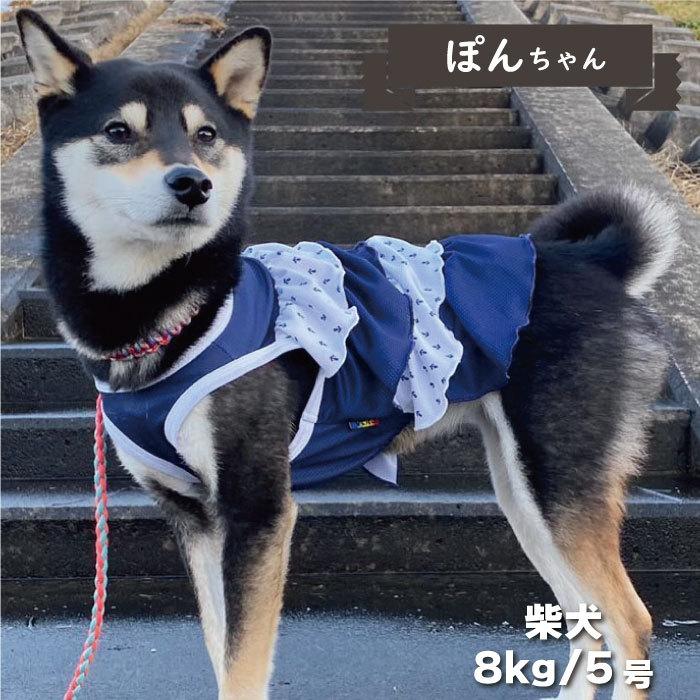 犬 服 VERY COOLマリン 小型犬　2022春夏｜very-pet｜12