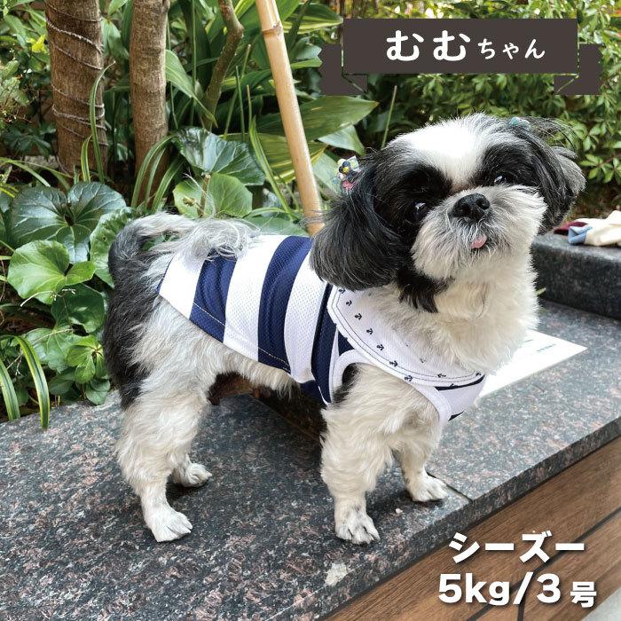犬 服 VERY COOLマリン 小型犬　2022春夏｜very-pet｜14