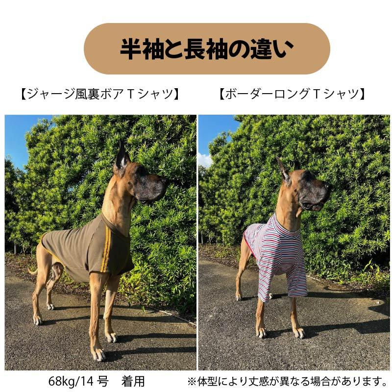 ペット服 41CTSSWiMSL._SS200_.jpg