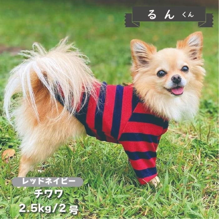ペット服 VERY 犬 服 犬服 ブランド 冬 秋 秋冬 冬服 小型犬 おしゃれ