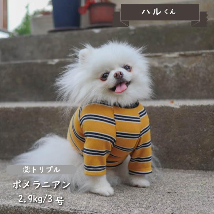 犬 服 VERY 2023秋冬ストレッチボーダーロングTシャツ 小型犬｜very-pet｜05