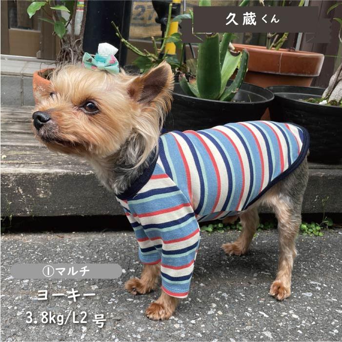 犬 服 VERY 2023秋冬ストレッチボーダーロングTシャツ 小型犬｜very-pet｜08