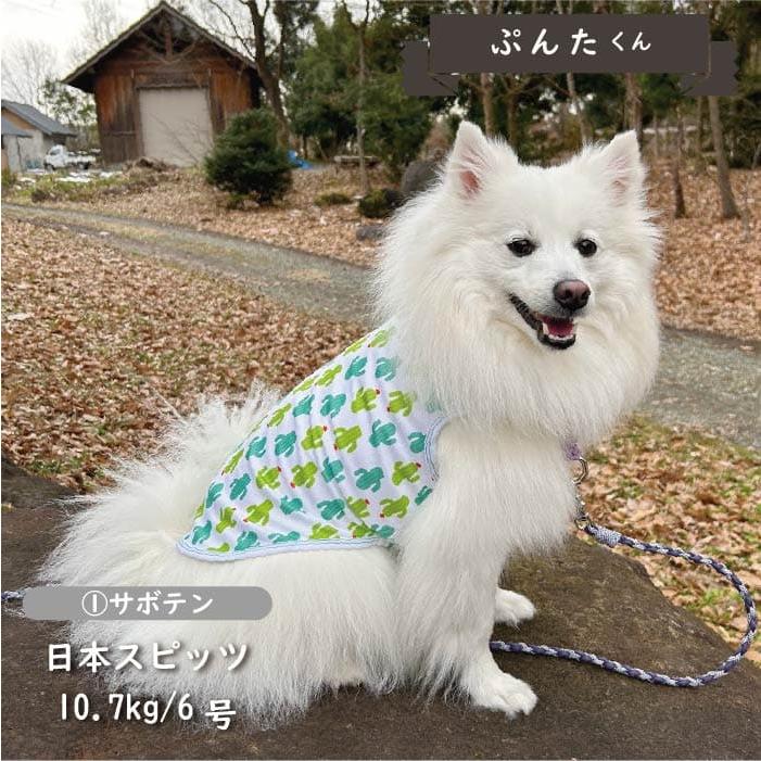 犬服 ドッグウェア VERY 接触冷感 濡らして冷たい クールタンクトップ 夏 春 春夏 夏服 中型犬 コーギー おしゃれ 安い 可愛い クール 袖なし 2024SS｜very-pet｜03