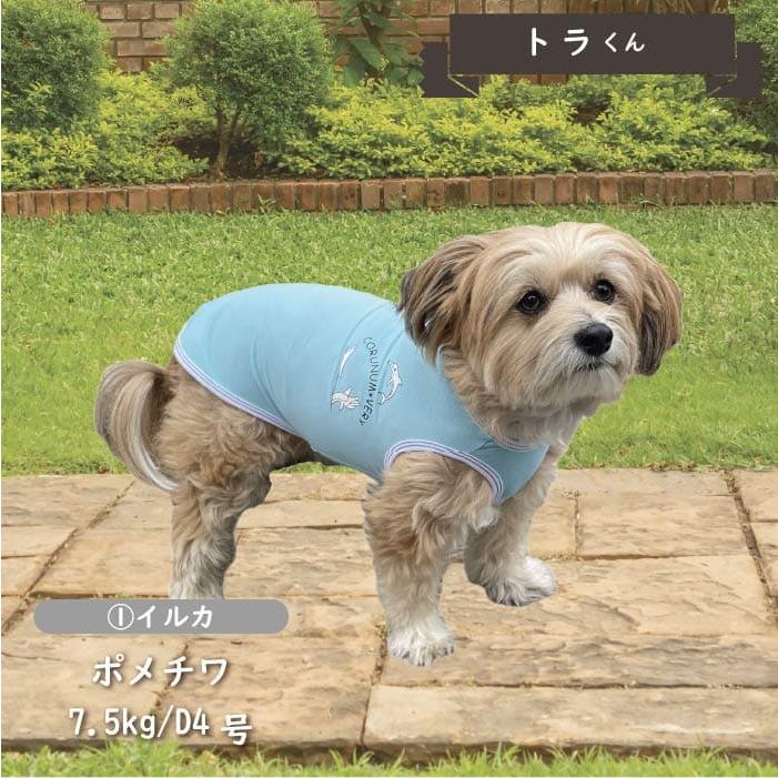 犬服 ドッグウェア VERY 接触冷感 濡らして冷たい イラストクールタンクトップ 夏 春 春夏 夏服 小型犬 胴長 ダックス おしゃれ 安い 可愛い クール 2024SS｜very-pet｜09