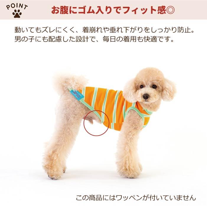 VERY 小型犬 胴長 ダックス 新サイズ 犬服 ペットウェア ボーダー