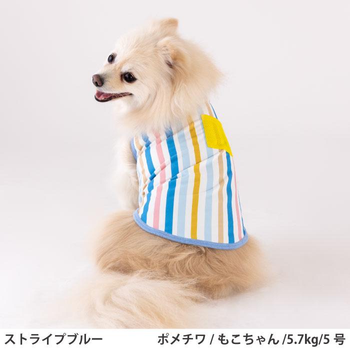VERY 犬服 夏服 ひんやり 接触冷感 プリントクールタンク ストライプ