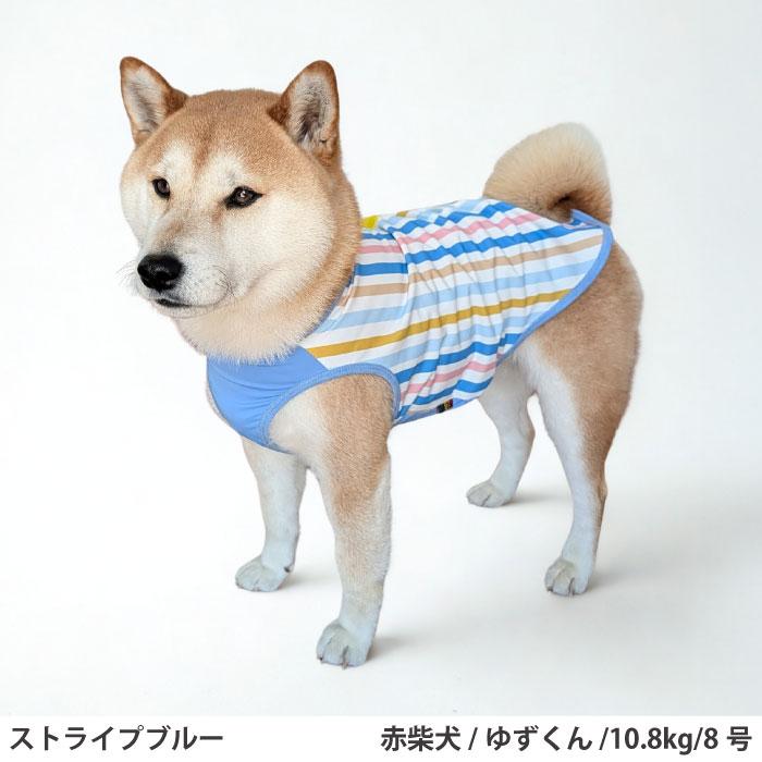 VERY 犬服 夏服 ひんやり 接触冷感 プリントクールタンク ストライプ