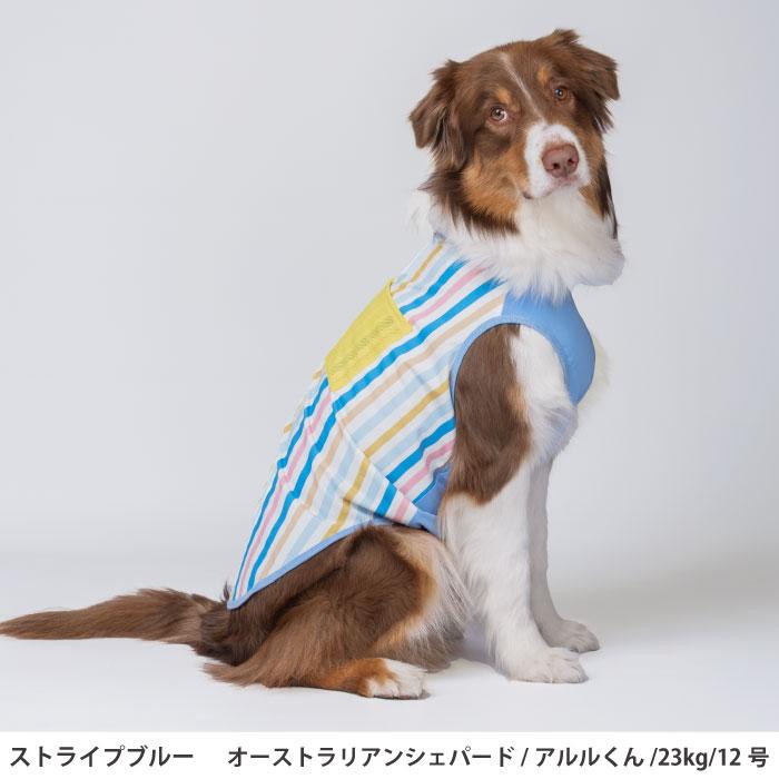 VERY 犬服 夏服 ひんやり 接触冷感 プリントクールタンク ストライプ