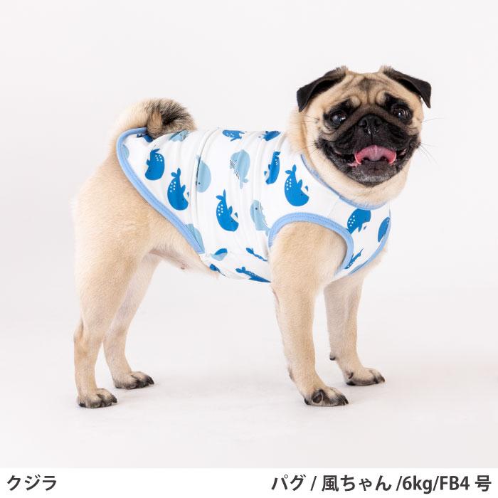 VERY 犬服 【 フレブル パグ 】 夏服 ひんやり 接触冷感 プリント