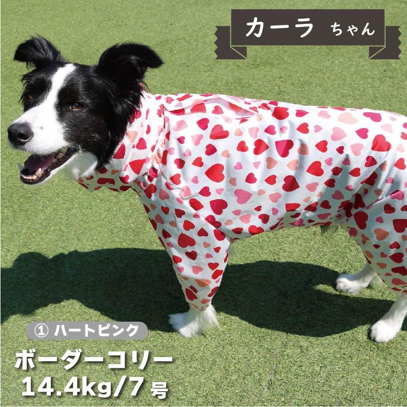 犬用レインコート、服5枚セット 楽天市場】【マウンテンレインポンチョ7-8号】犬 服 犬服 犬の服