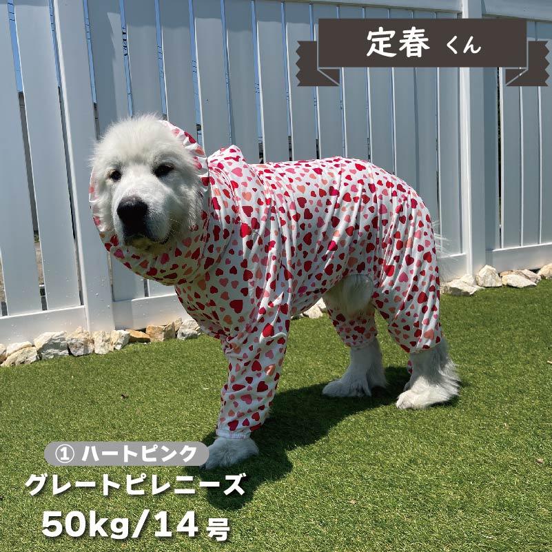 VERY 犬服 新ストレッチフルカバー レインコート 4脚 超大型犬 安い 犬