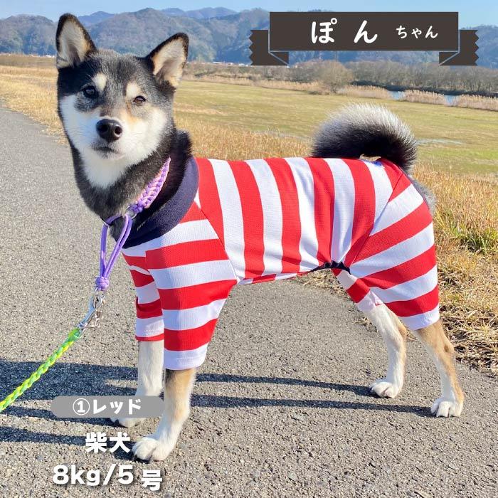 犬 服 犬服 ブランド 夏 春 春夏 夏服 小型犬 胴長 足長 おしゃれ  可愛い クール ロンパース ドッグウェアcoolcoreボーダーカバーオール｜very-pet｜07