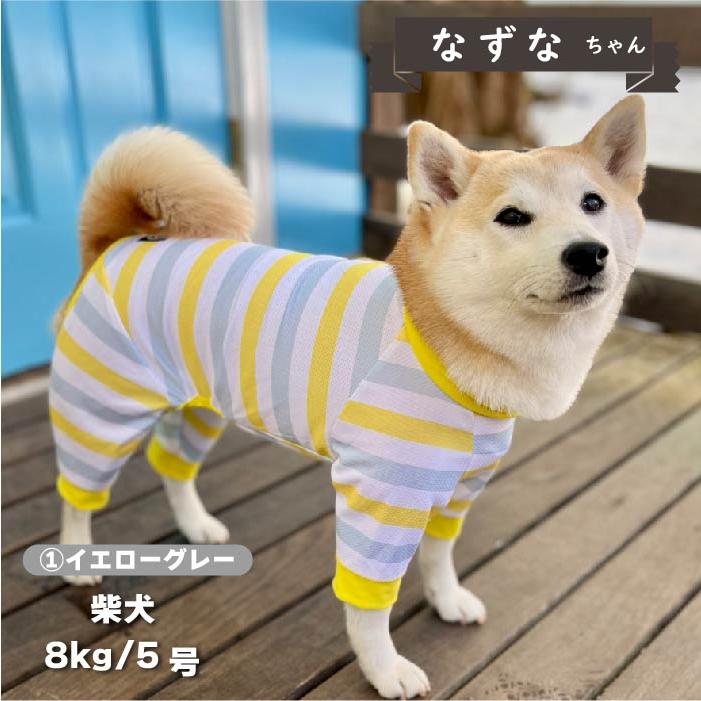 VERY 犬 服 犬服 ブランド 夏 春 春夏 夏服 小型犬 胴長 足長 おしゃれ