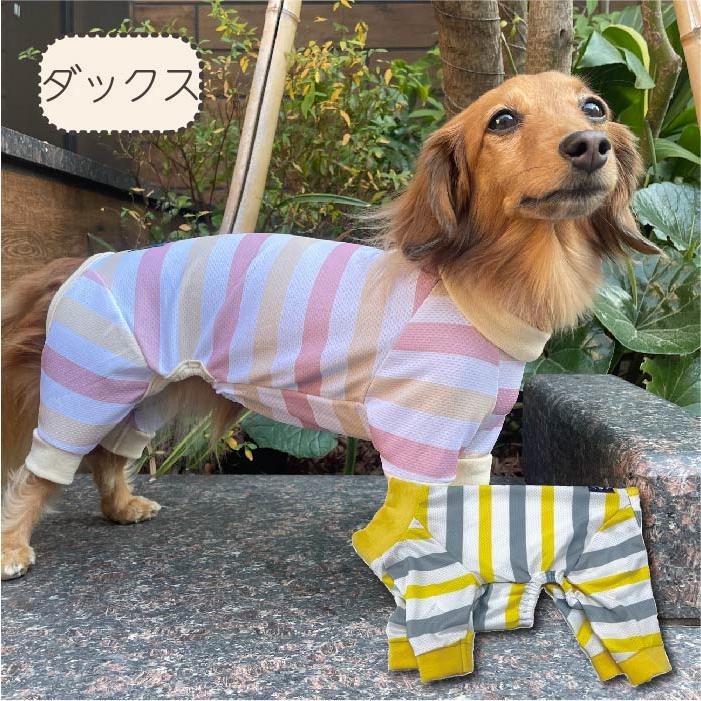 VERY 犬 服 犬服 ブランド 夏 春 春夏 夏服 ダックス 胴長