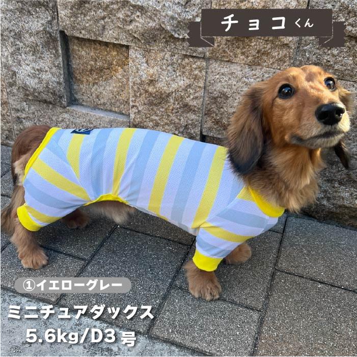 VERY 犬 服 犬服 ブランド 夏 春 春夏 夏服 ダックス 胴長 おしゃれ