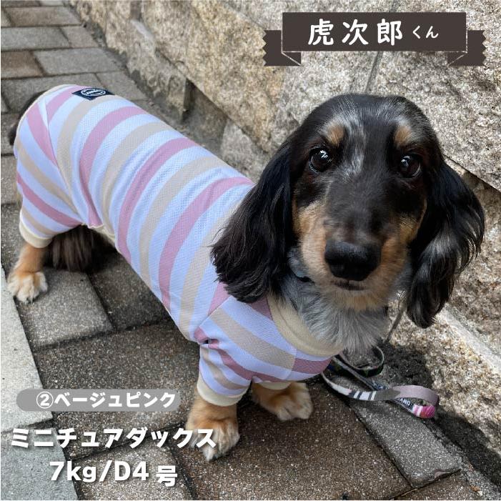 VERY 犬 服 犬服 ブランド 夏 春 春夏 夏服 ダックス 胴長 おしゃれ