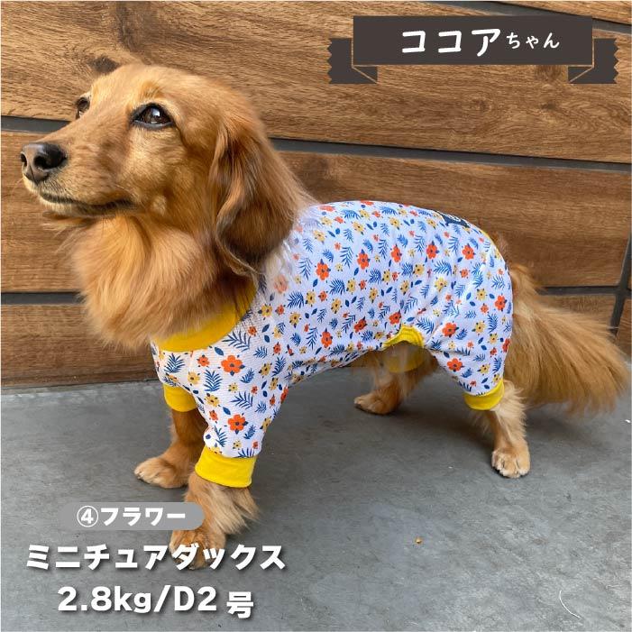 2L ペット用品 B様専用ページでございます ダックスフンド オーダー 犬