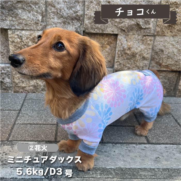 VERY 犬 服 犬服 ブランド 夏 春 春夏 夏服 ダックス 胴長 おしゃれ