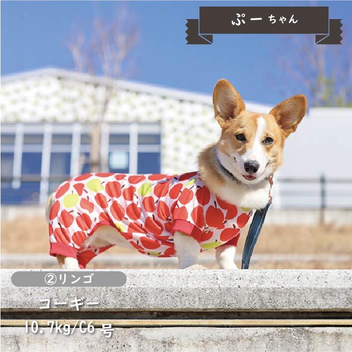 30%OFFセール 犬服 ドッグウェア VERY 接触冷感 濡らして冷たい クール 