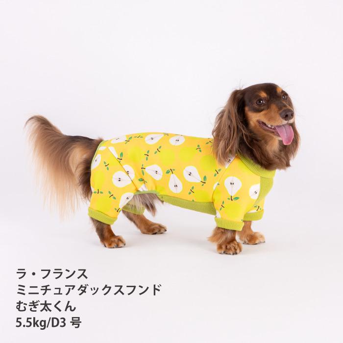 VERY 犬服 大型犬 冬服 裏起毛プリントロンパース フルーツ/ラ