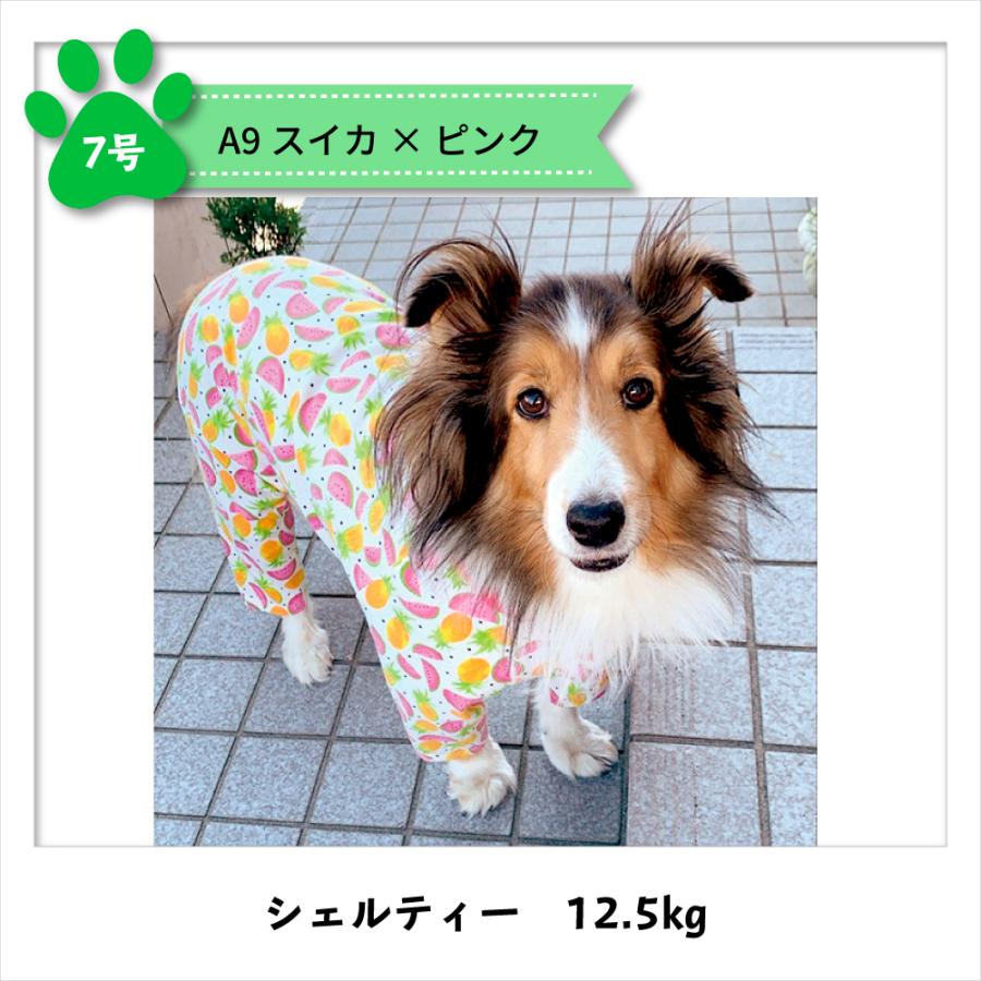 犬 服 Very カバーオール 中型犬 ドット スイカ ロンパース 術後服 つなぎ 秋冬 かわいい おしゃれ 犬服 ベリー プチプラ Codot02 Very Pet ヤフーショップ 通販 Yahoo ショッピング