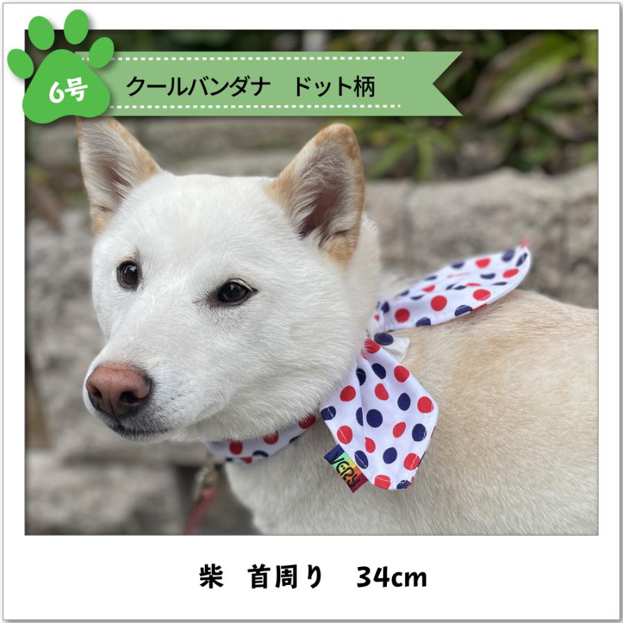 訳ありセール 格安 30 Offセール 犬 服 Very 中型犬 大型犬 クールバンダナ 夏 ひんやり 保冷剤付き 暑さ対策 熱中症対策 在庫限り Discoversvg Com
