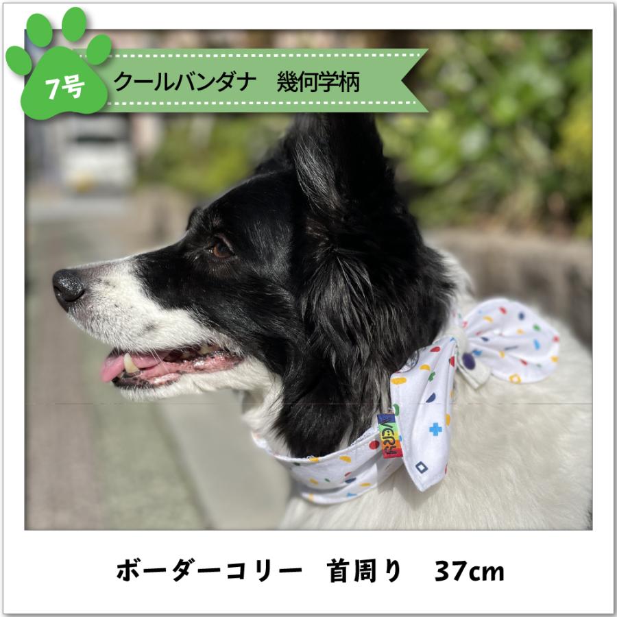 訳ありセール 格安 30 Offセール 犬 服 Very 中型犬 大型犬 クールバンダナ 夏 ひんやり 保冷剤付き 暑さ対策 熱中症対策 在庫限り Discoversvg Com