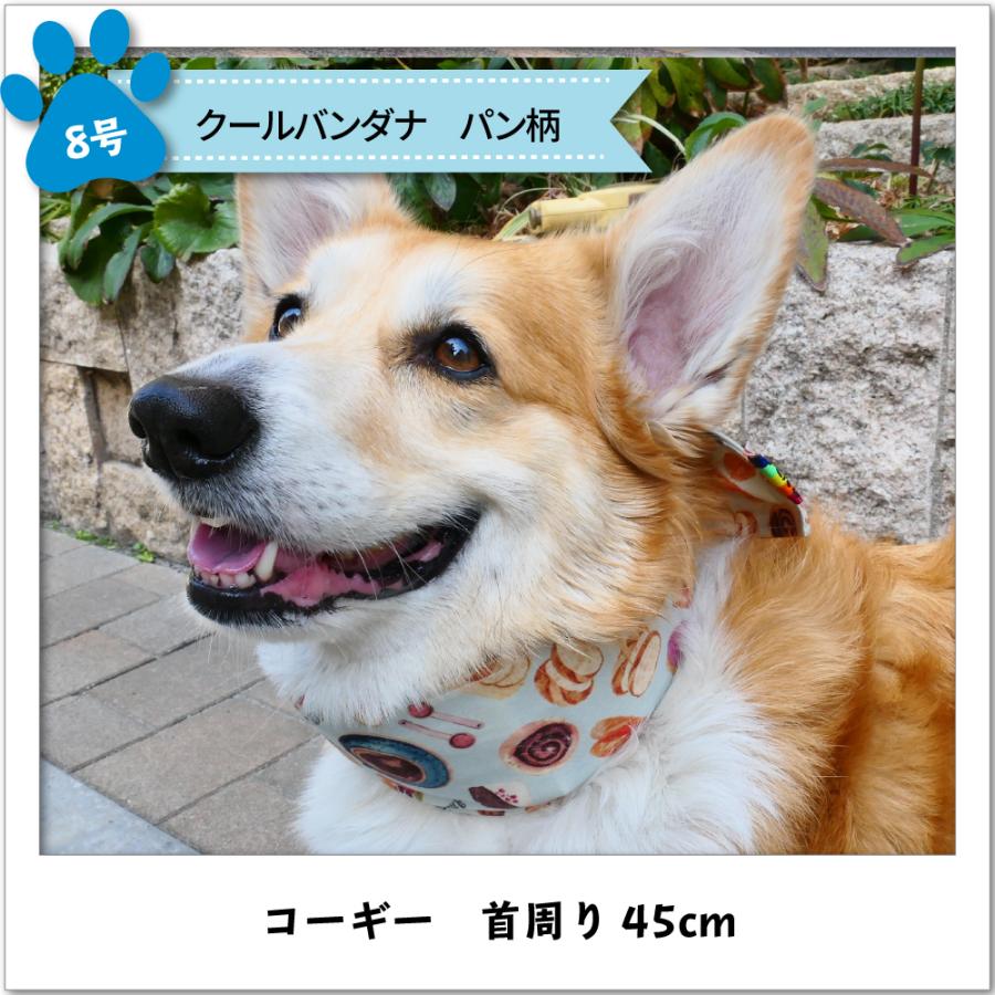 訳ありセール 格安 30 Offセール 犬 服 Very 中型犬 大型犬 クールバンダナ 夏 ひんやり 保冷剤付き 暑さ対策 熱中症対策 在庫限り Discoversvg Com