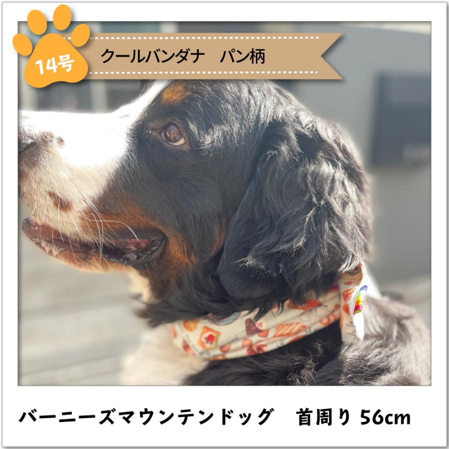 30%OFFセール】犬 服 VERY 超大型犬 クールバンダナ 夏 ひんやり 保冷剤付き 暑さ対策 熱中症対策 在庫限り :coolbandana03: VERY-PET ヤフーショップ - 通販 - Yahoo!ショッピング 30%OFFセール】犬 服 VERY 超大型犬 クールバンダナ 夏 ひんやり 保冷剤付き 暑さ対策 熱中症対策 在庫限り :coolbandana03: VERY-PET ヤフーショップ - 通販 - Yahoo!ショッピング