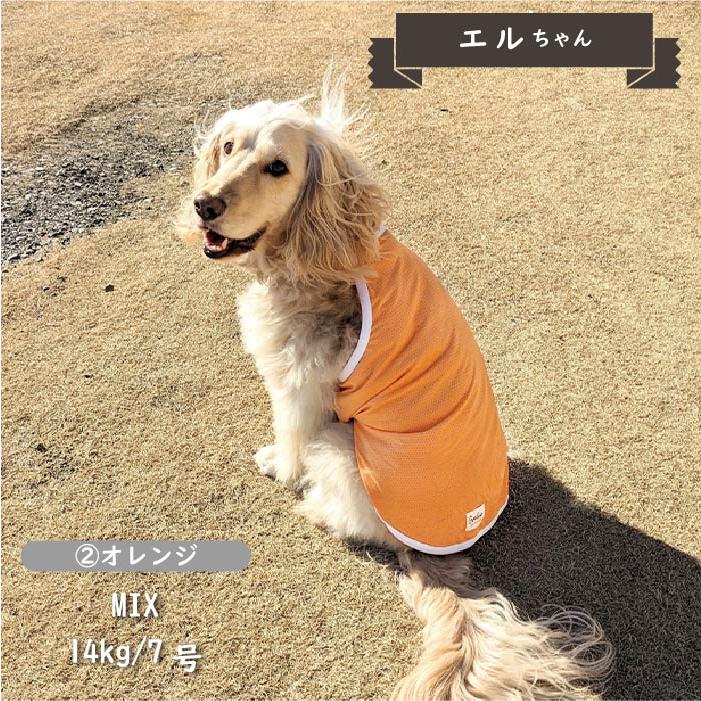 犬服 ドッグウェア VERY Web限定 接触冷感 濡らして冷たい クールホルターネック 夏 春 春夏 夏服 中型犬 コーギー おしゃれ 安い 可愛い クール 袖なし 2024SS｜very-pet｜04