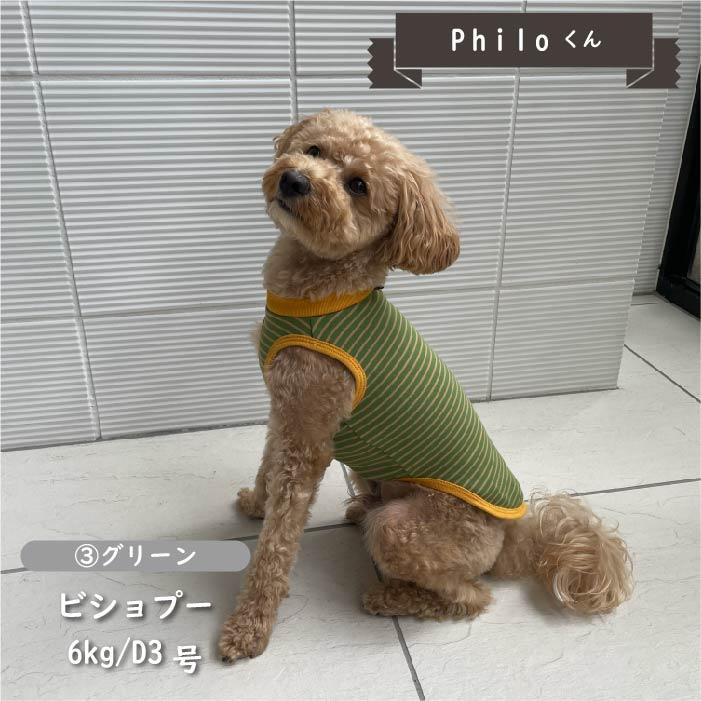 犬 服 犬服 冬 秋 秋冬 冬服 小型犬 胴長 ダックス ブランド おしゃれ 安い 可愛い 暖かい ドッグウェア ストレッチボーダータンク 2023AW WEB限定｜very-pet｜07