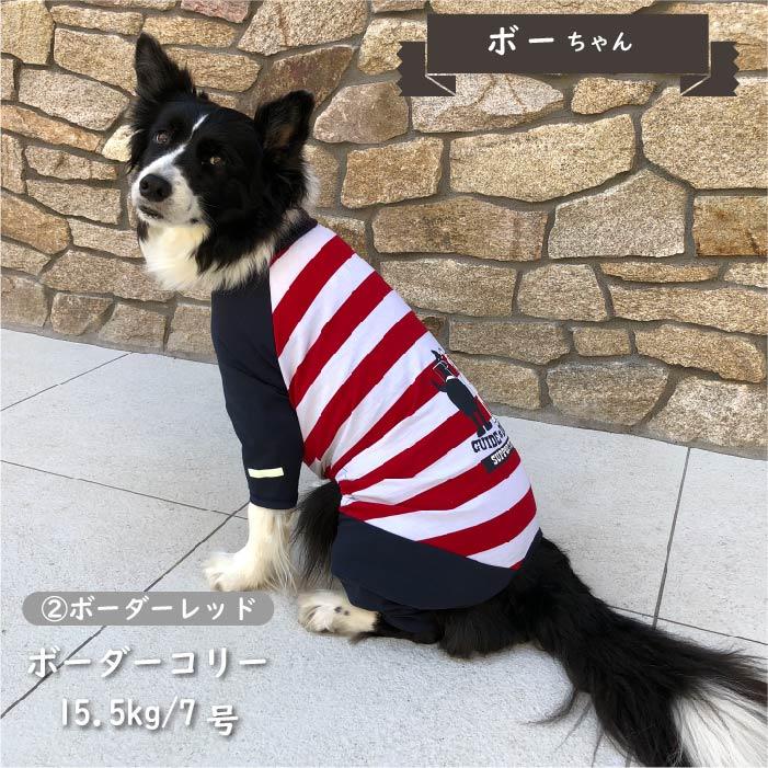 VERY 犬服 盲導犬サポートカバーオール 中型犬 春夏 秋冬 おしゃれ お