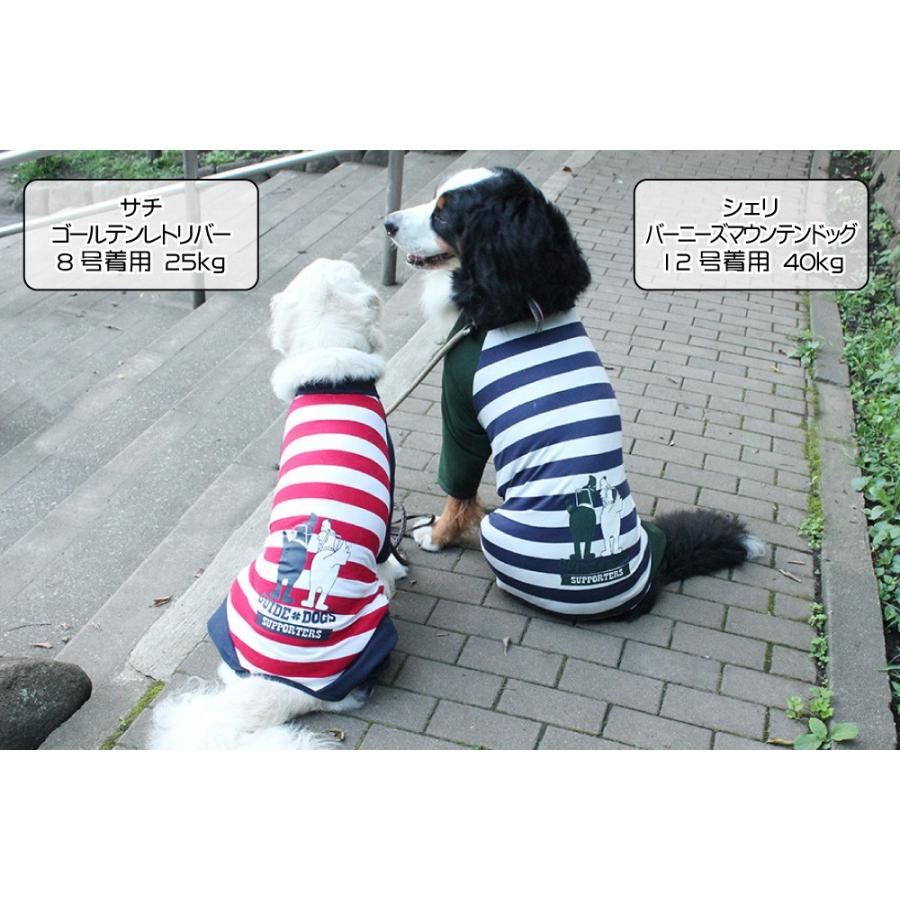 市場 犬 水着 大型 ジャケット 小型犬 ドッグウェア 中型 犬ペット 犬用品 ライフ テディ