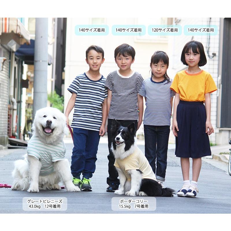 目黒STORE特注】親子おそろいボーダーTシャツセット／父・母・子供用3