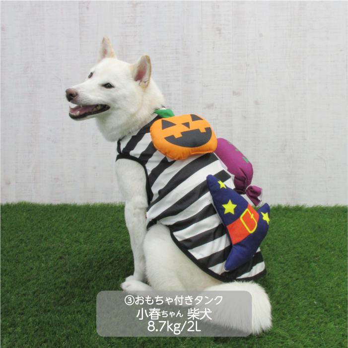 VERY 犬服 中型犬 ハロウィンコスチューム かぼちゃ おばけ 魔女