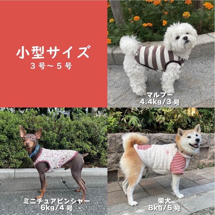 犬用　服　まとめ売り　各　１枚７５０円 MANDARINE BROTHERS（マンダリンブラザーズ） ドッグウェア レイン
