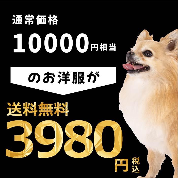 VERY 犬服 送料無料 小型犬 冬服8枚入り 福袋 1万円相当が3980円 冬物