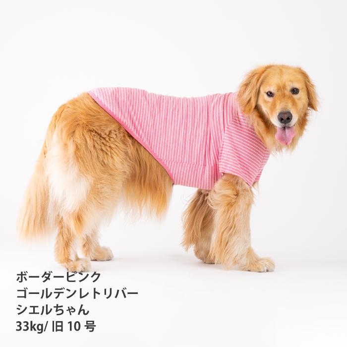 VERY 犬服 コットン100％ Tシャツ 大型犬対応 綿100 天然素材 肌に