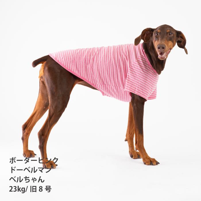 VERY 犬服 コットンTシャツ 大型犬 春夏 秋冬 ブランド おしゃれ
