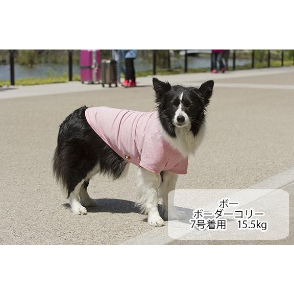 犬服 VERY コットンTシャツ 中型犬 コーギー 春夏 秋冬 ブランド おしゃれ 安い プチプラ 可愛い お揃い ペア ペットウェア ペット服 綿100％ 無地 ボーダー｜very-pet｜04