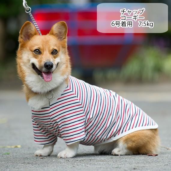 犬服 VERY コットンTシャツ 中型犬 コーギー 春夏 秋冬 ブランド おしゃれ 安い プチプラ 可愛い お揃い ペア ペットウェア ペット服 綿100％ 無地 ボーダー｜very-pet｜05